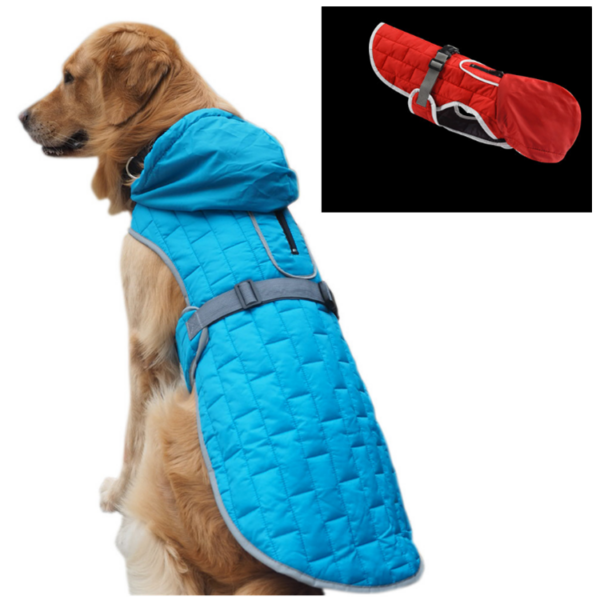 medium dog raincoat