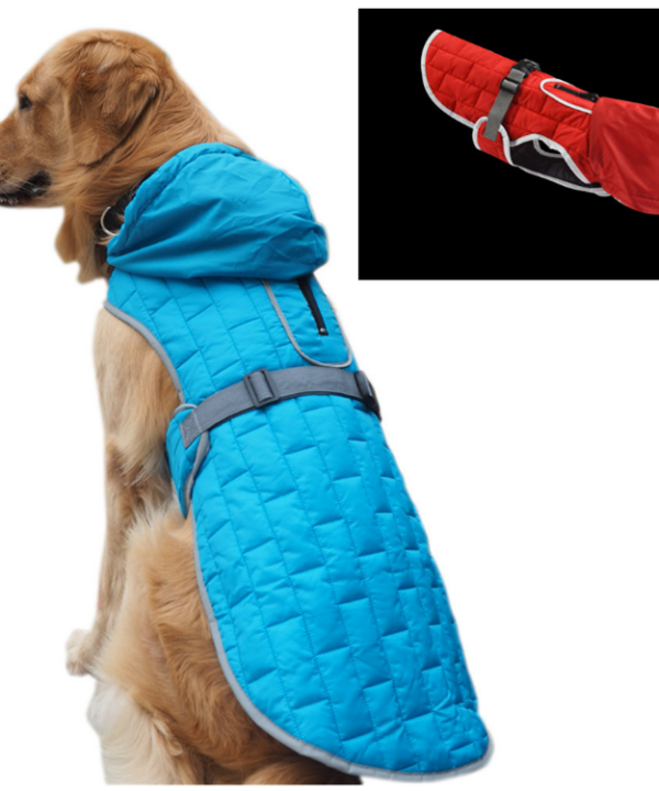 medium dog raincoat