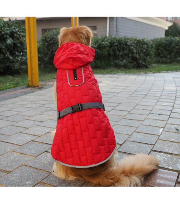 big dog raincoat