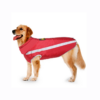 pets raincoat