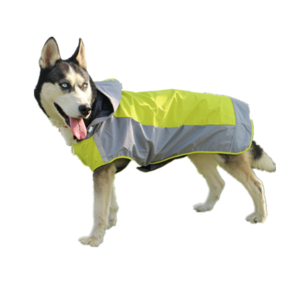 Best Dog Raincoat