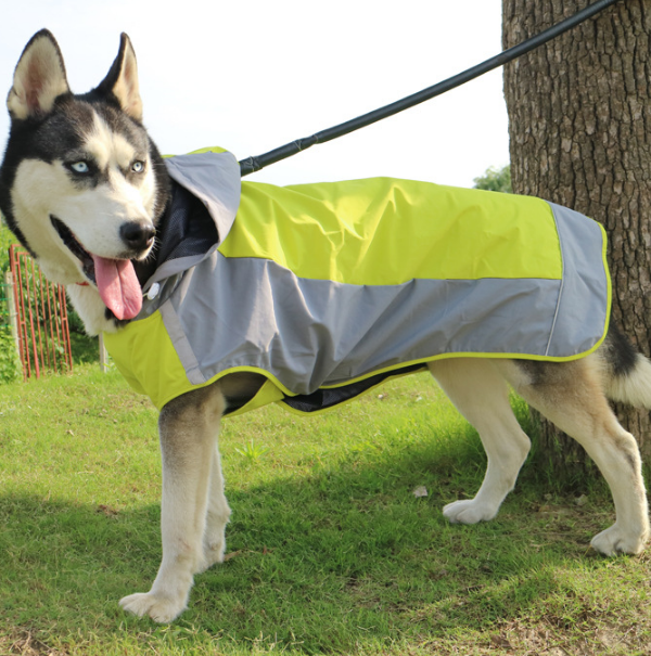 waterproof dog jacket