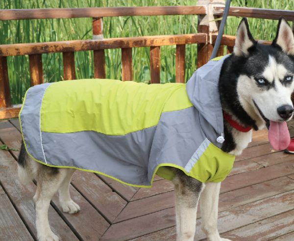 large dog rain jacket