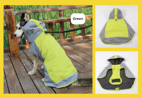 small dog raincoat