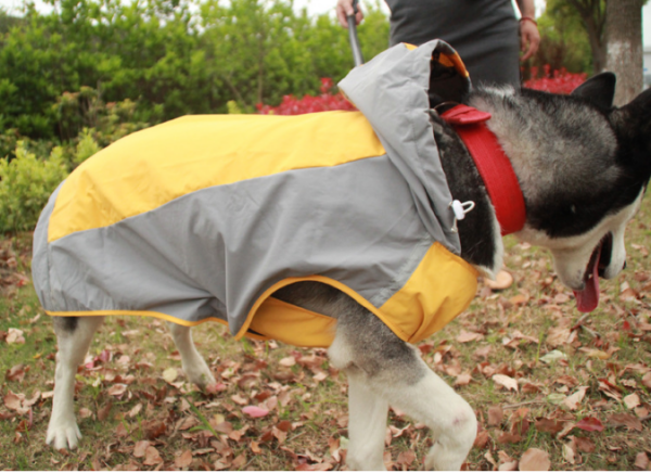 waterproof winter dog coat