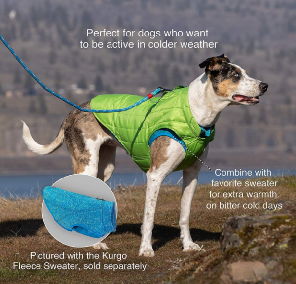 Small Dog Raincoat - Image 10