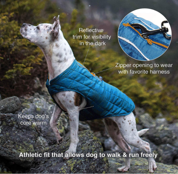 Small Dog Raincoat - Image 7