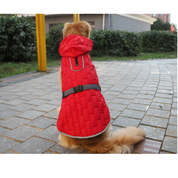 Small Dog Raincoat - Image 9