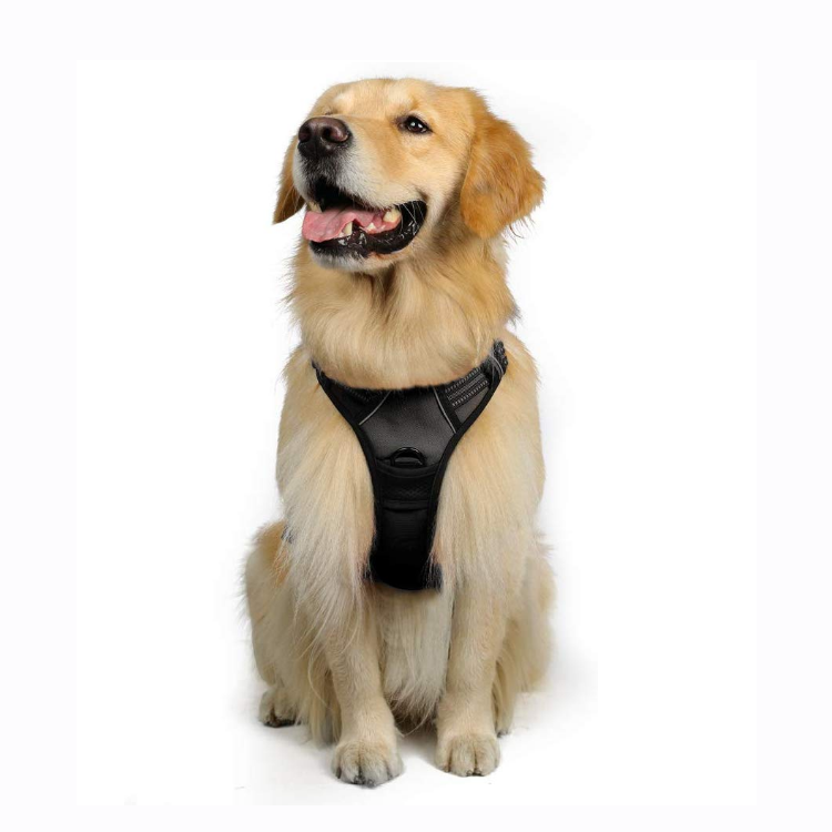 Dog Harness