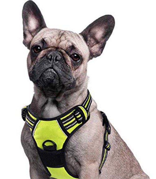 No Pull Dog Harness