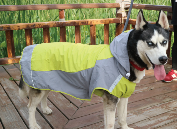 Best Dog Raincoat - Image 15