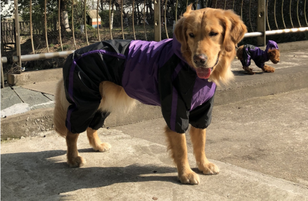 Dog Raincoat with Hood - Image 17