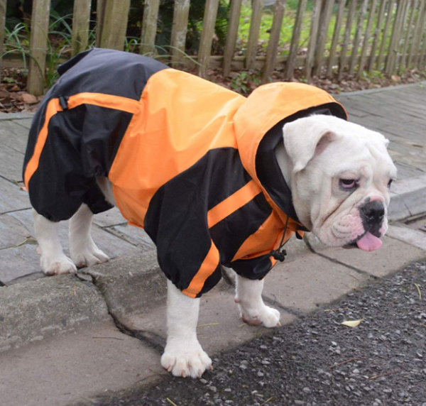 Dog Raincoat with Hood - Image 4