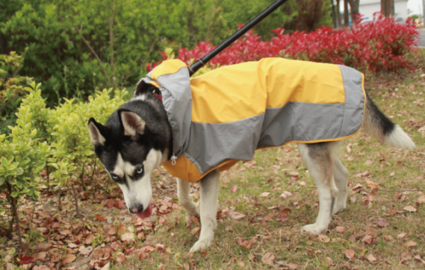 Best Dog Raincoat - Image 7