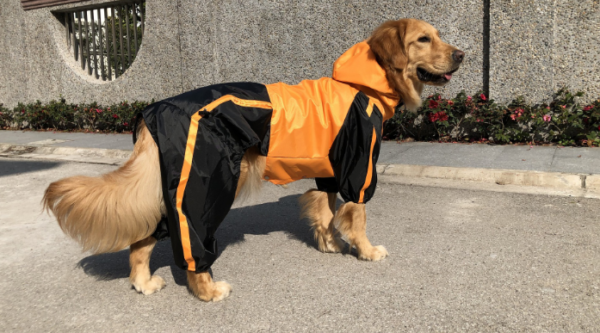 Dog Raincoat with Hood - Image 7