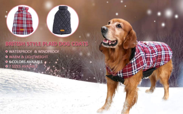 Waterproof Dog Jacket - Image 11