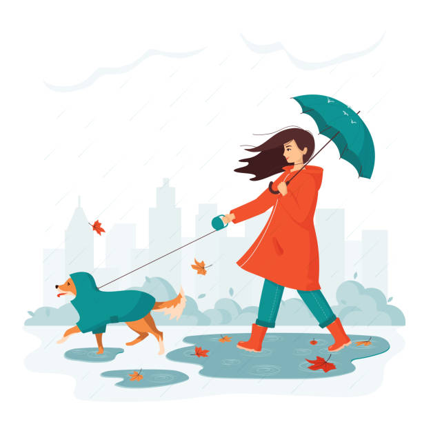Illustrative image for dog rain jacket