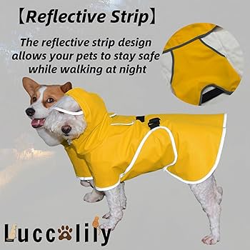 Illustrative image for dog rain jacket