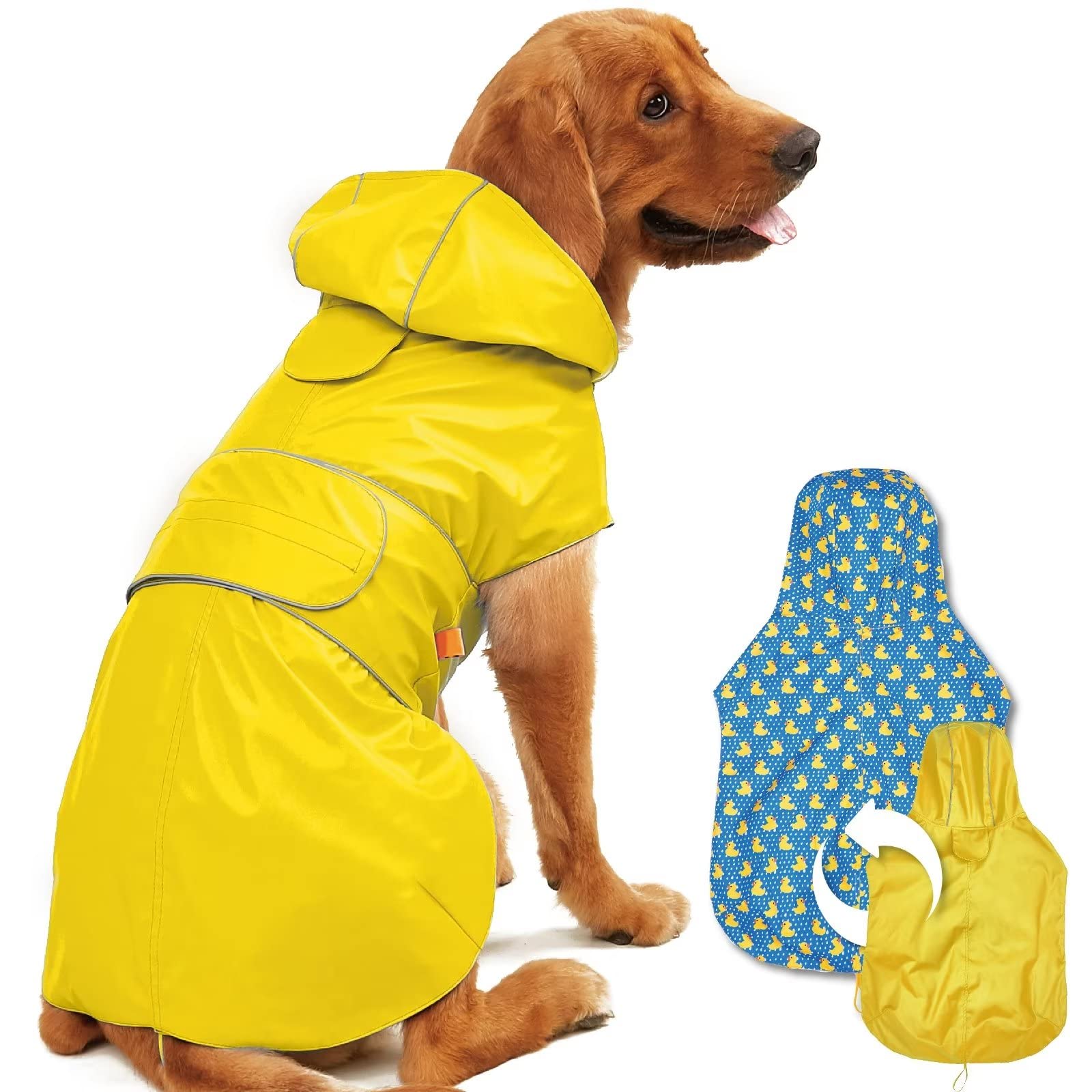 A stock image illustrating dog rain poncho concepts