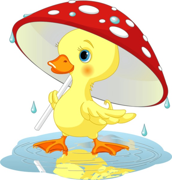 Illustrative image for duck raincoat for kids