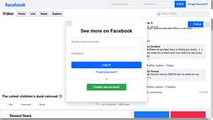 Facebook - Duck Raincoat