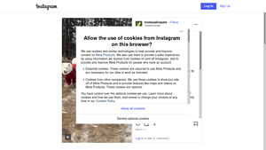 Instagram - Scraping Services