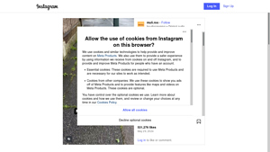Instagram - Scraping Services