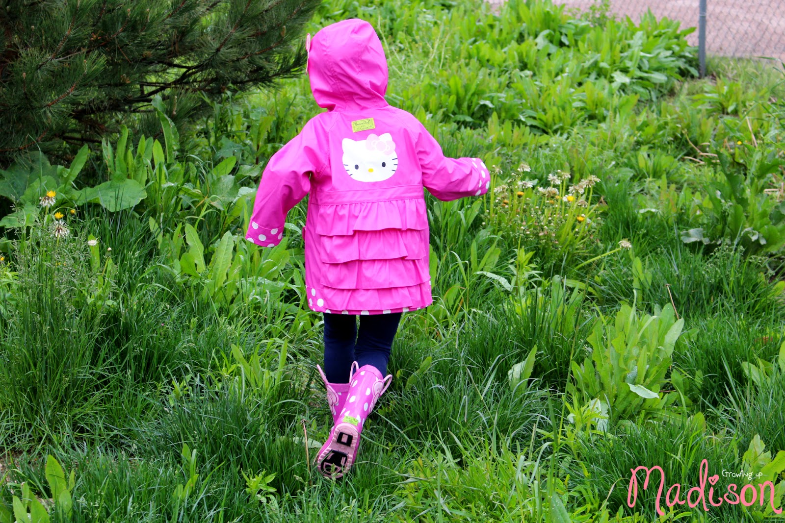 An application scenario or product detail of western chief hello kitty raincoat - Image 23